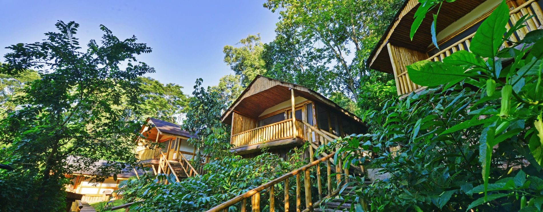Main-Classic-4-Day-Gorilla-Safari-Uganda-Africa-Safari-Travel-Deals