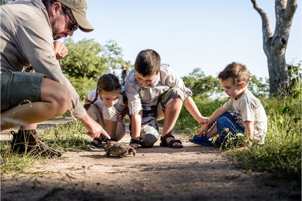 A man and three children crouched on a dirt path observing a small tortoise up close.