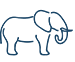 Indigo Elephant