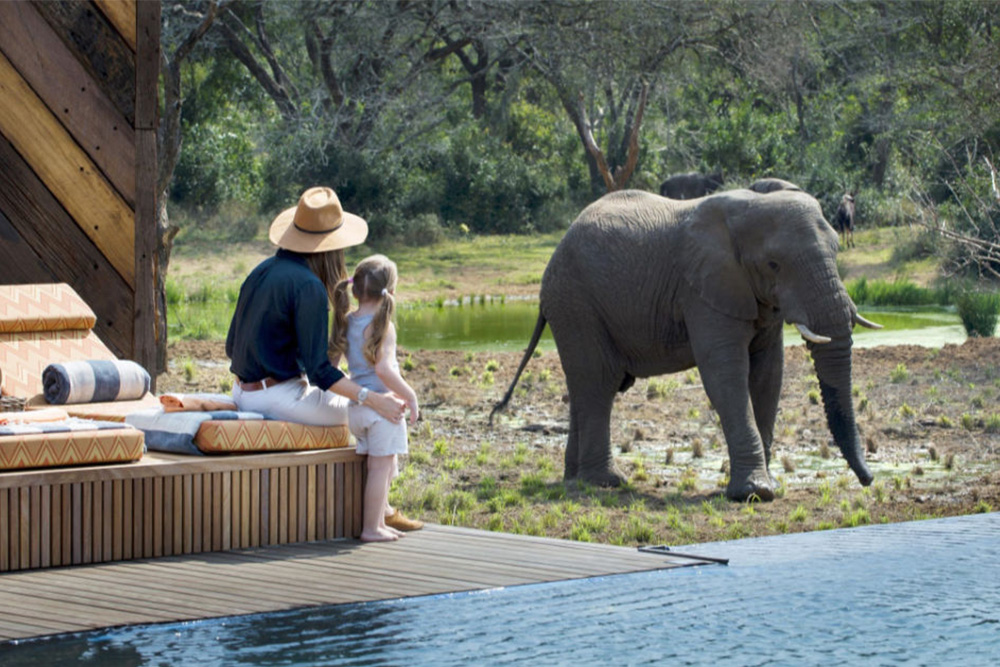 A woman and a child sit by a private pool on a wooden deck, watching an elephant standing a short distance away near a waterhole in the African wilderness.