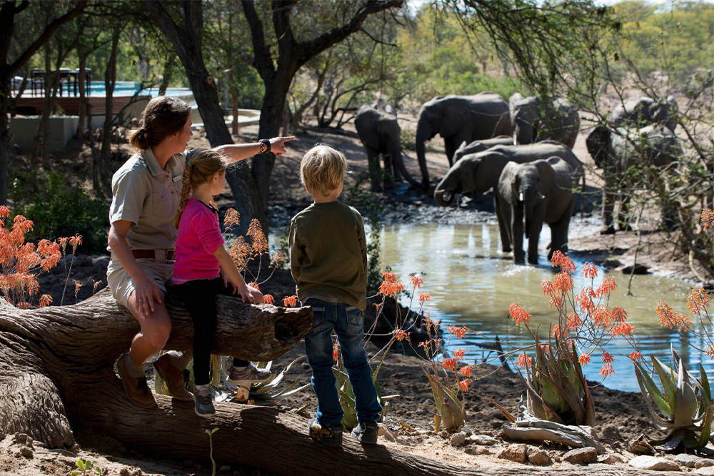 A safari guide sits on a fallen tree with two children, pointing toward a group of elephants gathered at a waterhole in a shaded forested area.