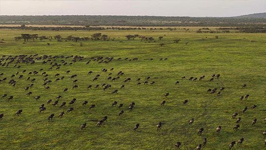 megamenu-experiences-migration