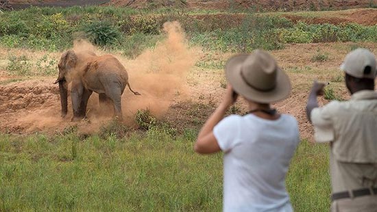 megamenu-experiences-walking