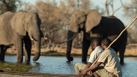 megamenu-itinerary-atzaro-okavango