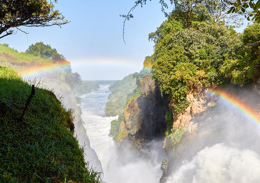 Chasing Waterfalls and Wildlife