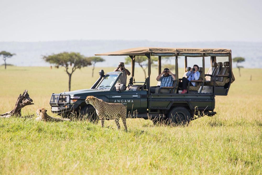 Your Complete 2026 Safari Planning Guide