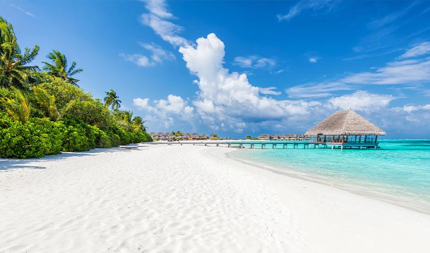 Natural Ocean Beauty in the Maldives