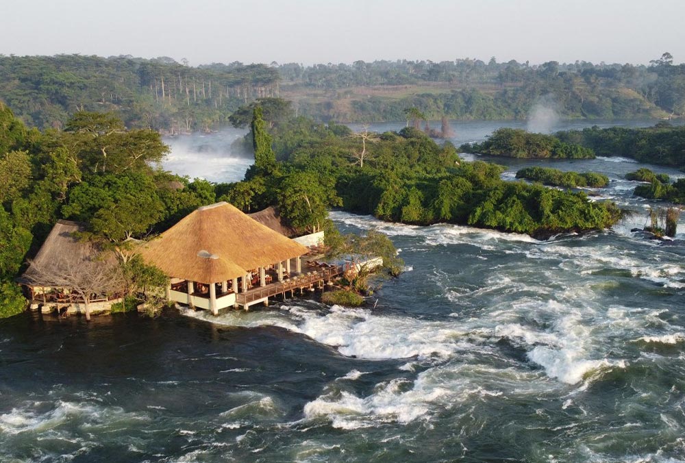 The Ultimate Uganda Safari