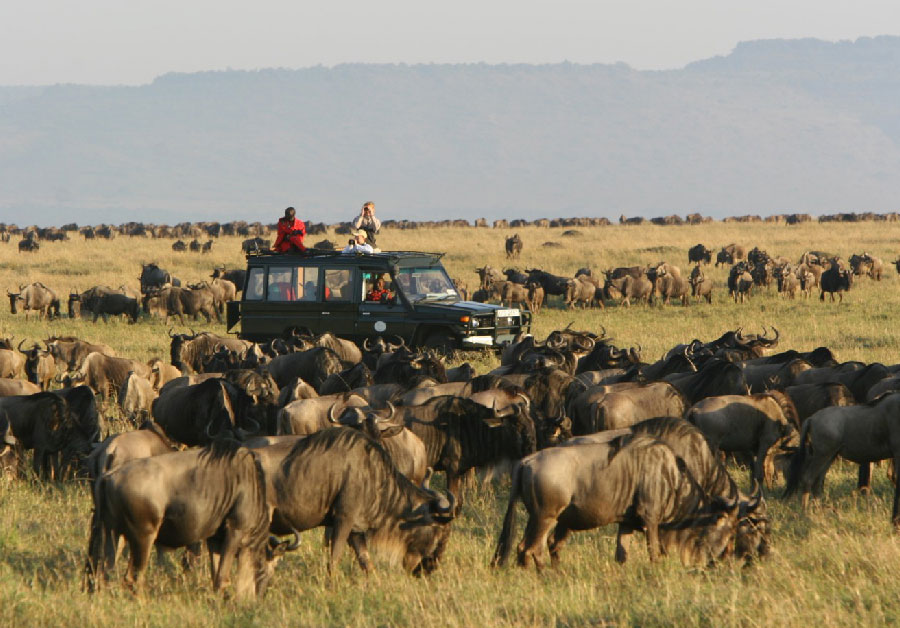 migration-Featured