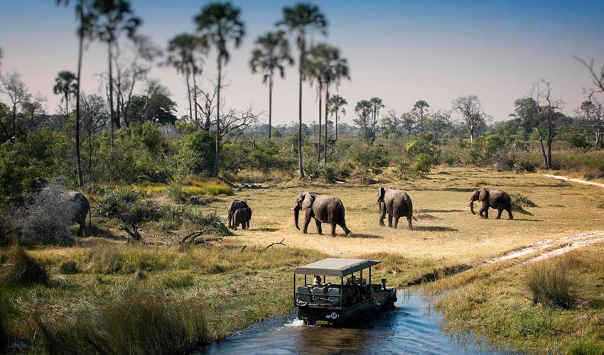 Chobe National Park