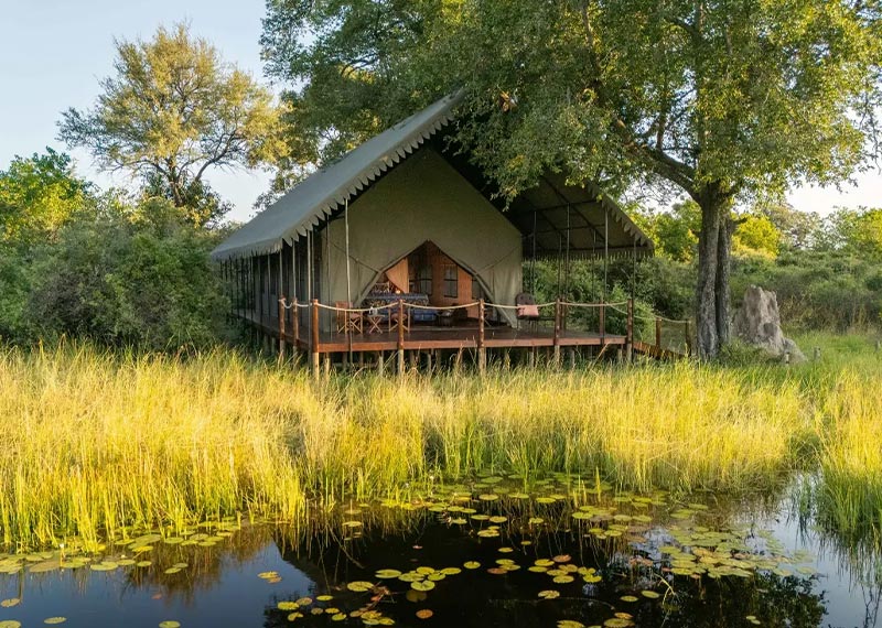 Dukes Camp, Botswana