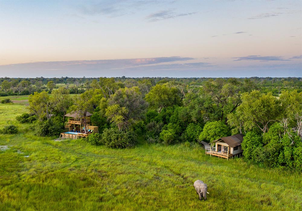 Botswana or South Africa Safari?