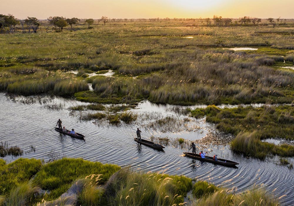 Your Complete Guide to a Botswana Safari